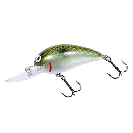 Bomber Bmb Model AGreen Prl Shad BMB06A520